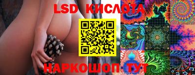 скорость Заводоуковск