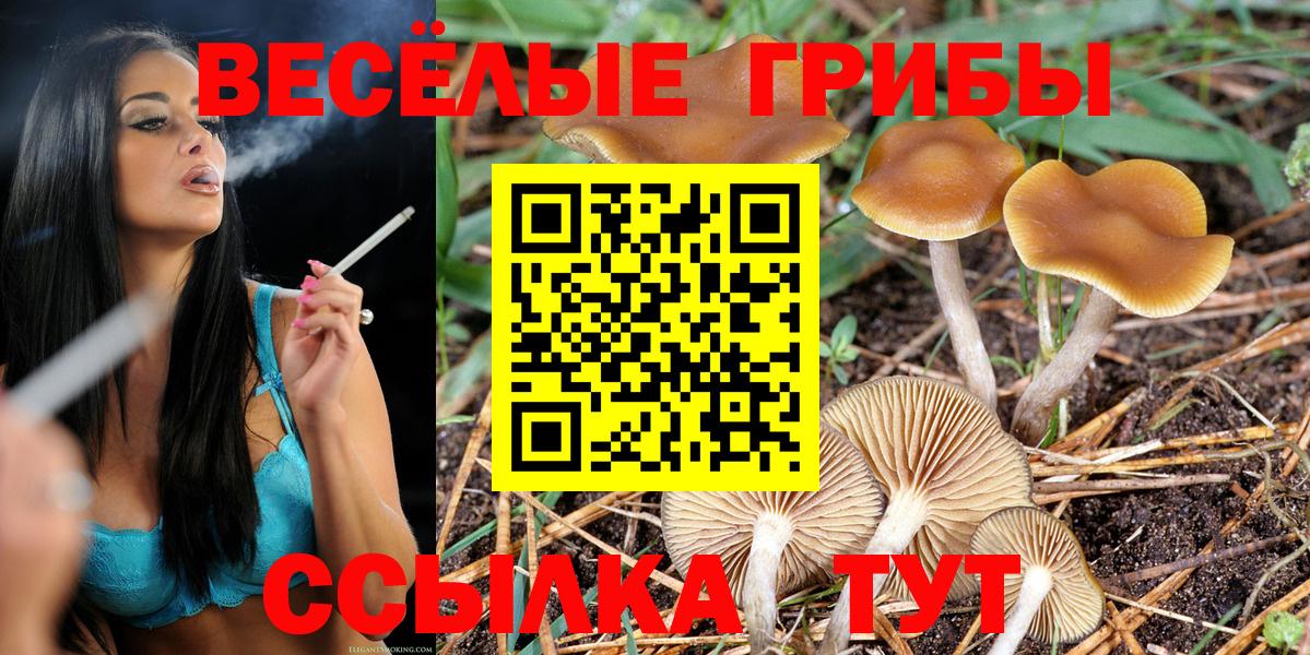 Галлюциногенные грибы GOLDEN TEACHER Луховицы