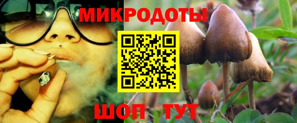 Псилоцибиновые грибы ЛСД  Вход с VPN  Луховицы 